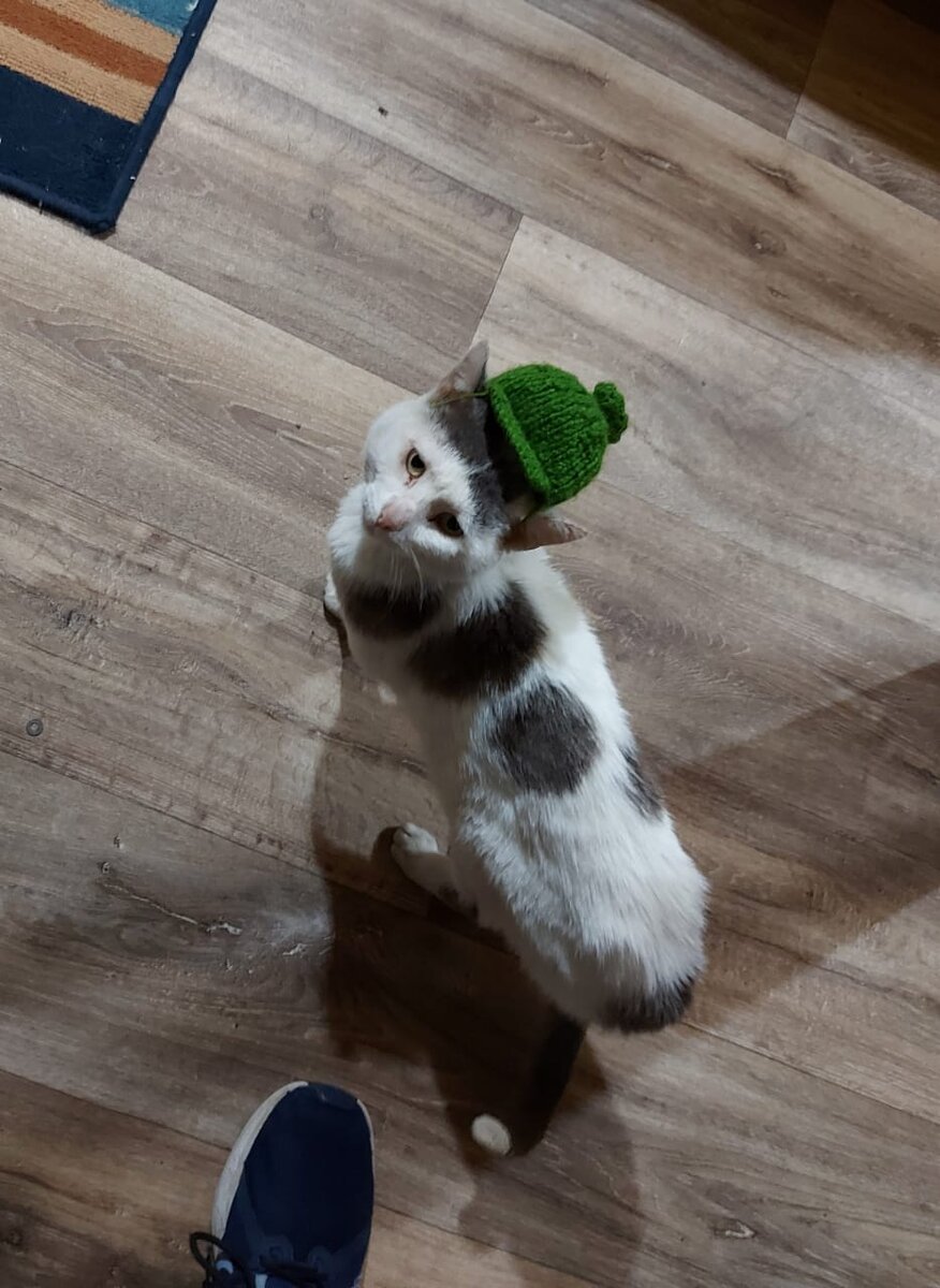 Праздничная шапочка