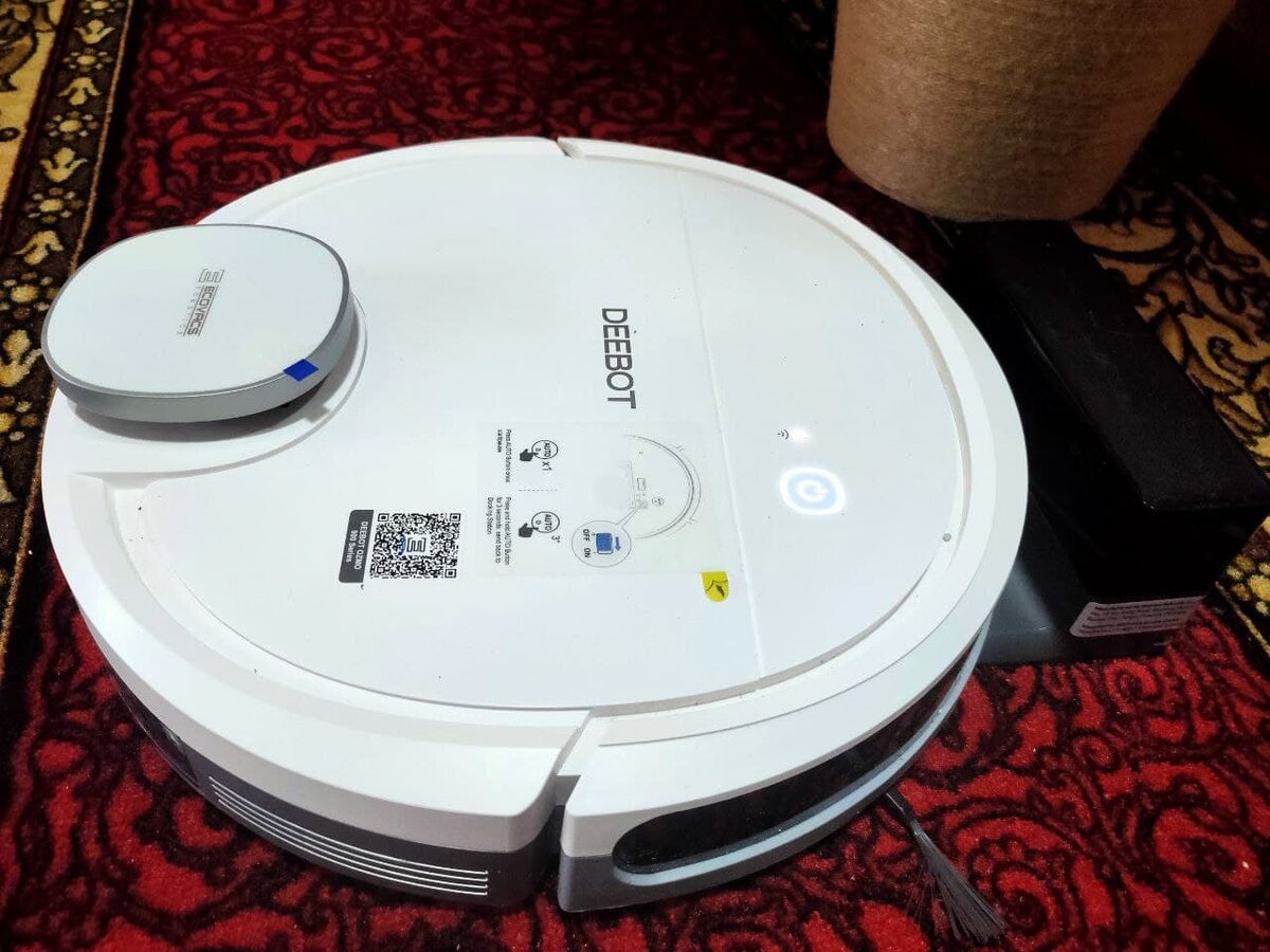 личное фото автора