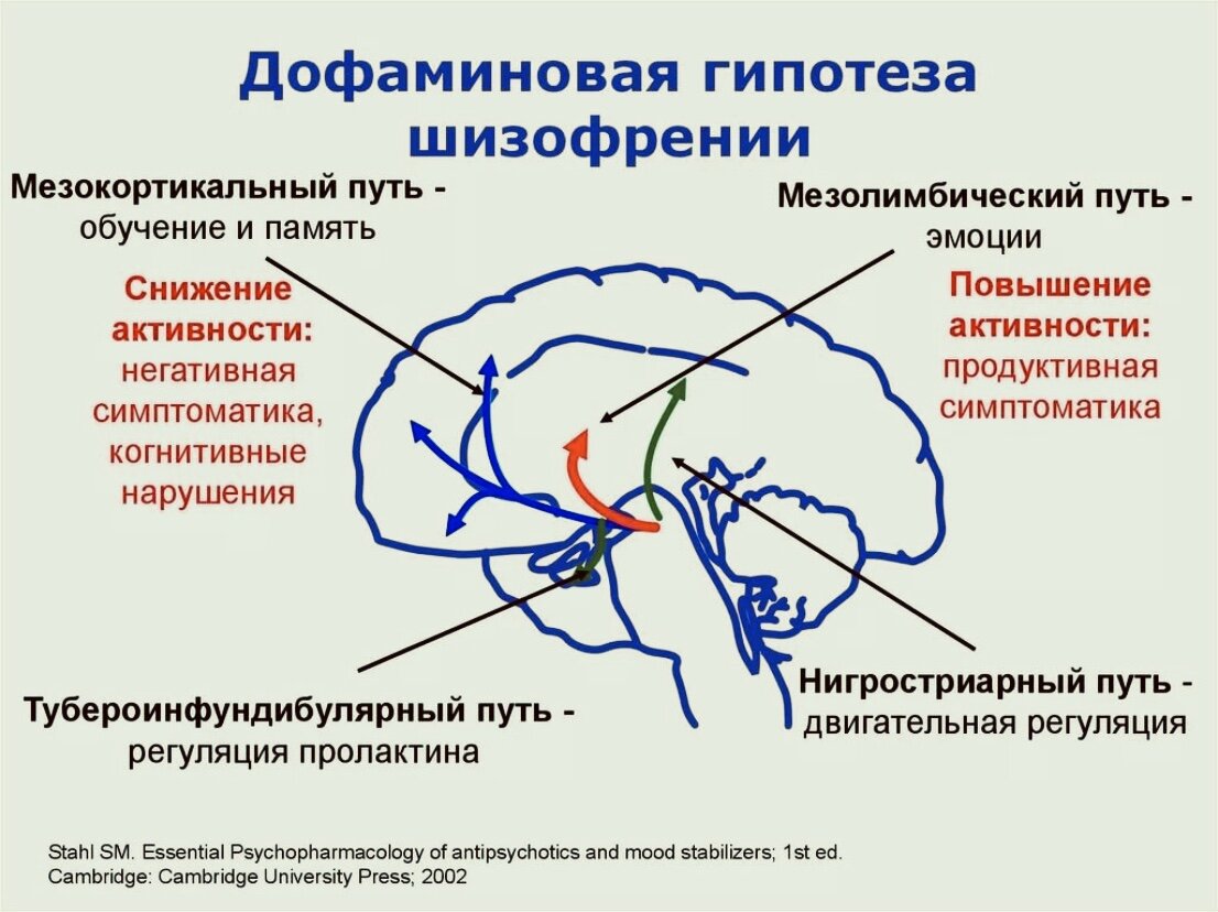 Как выйти из дофаминовой ямы. Дофаминовая яма. Как выйти из дофаминовой ямы. Как выйти из дофаминовой ямы. Дофаминовые пути в головном мозге.