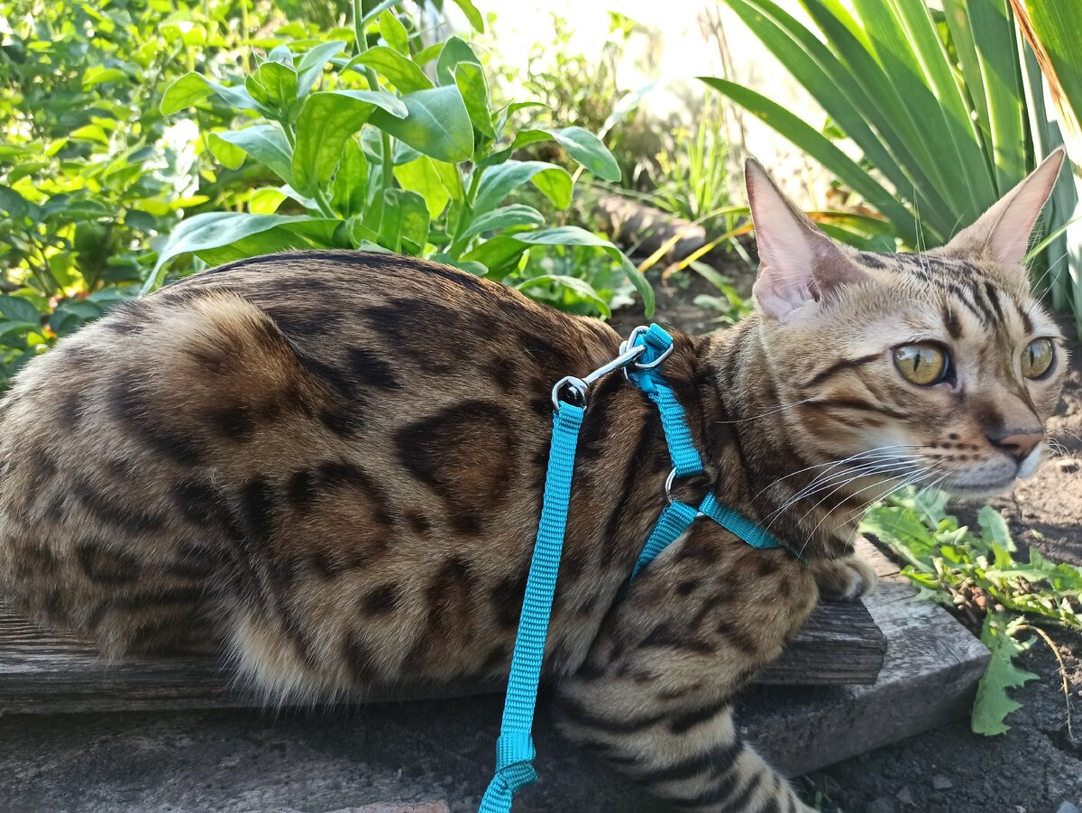из личного архива