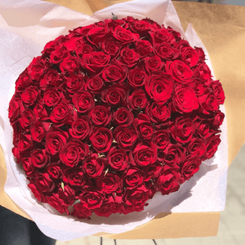Фото из свободного доступа 