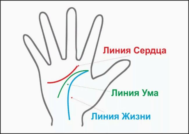 Линия ума на ладони. Линия ума и линия сердца на ладони. Линия сердца линия ума хиромантия. Линия ума и сердца. Линия жизни ума и сердца