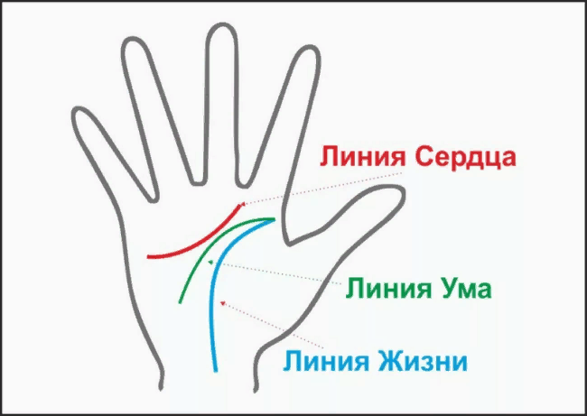 Как гадать по руке: что линии на ладони могут рассказать о вашей судьбе