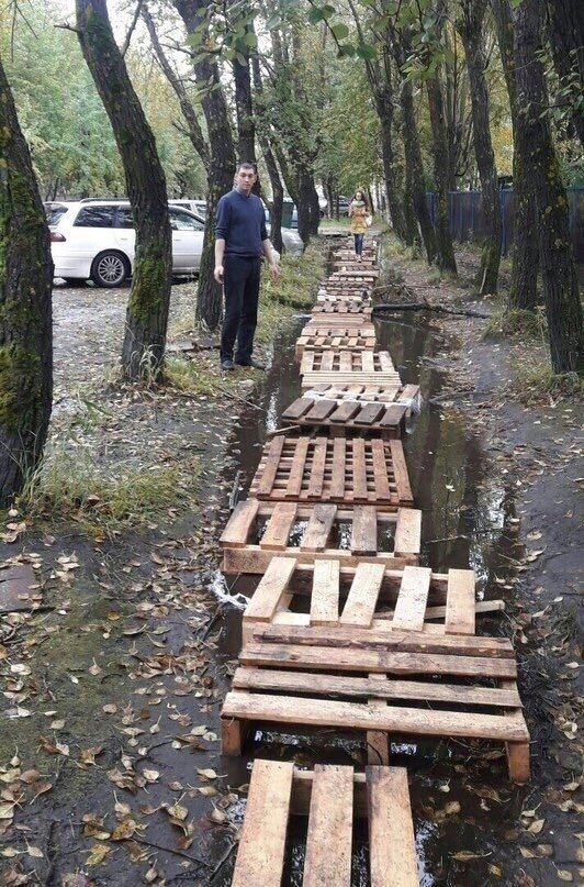 Фотография позаимствована в группе ""чудеса рф" на сайте ВКонтакте. Добавлена в статью для повышения информативности истории