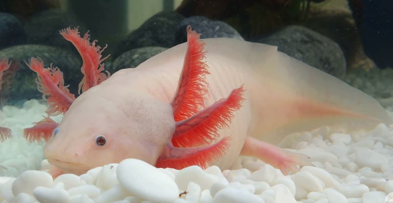 Личное фото автора.