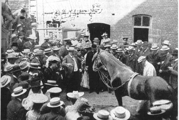 Умный Ганс демонстрирует свои способности. Германия, 1904 год