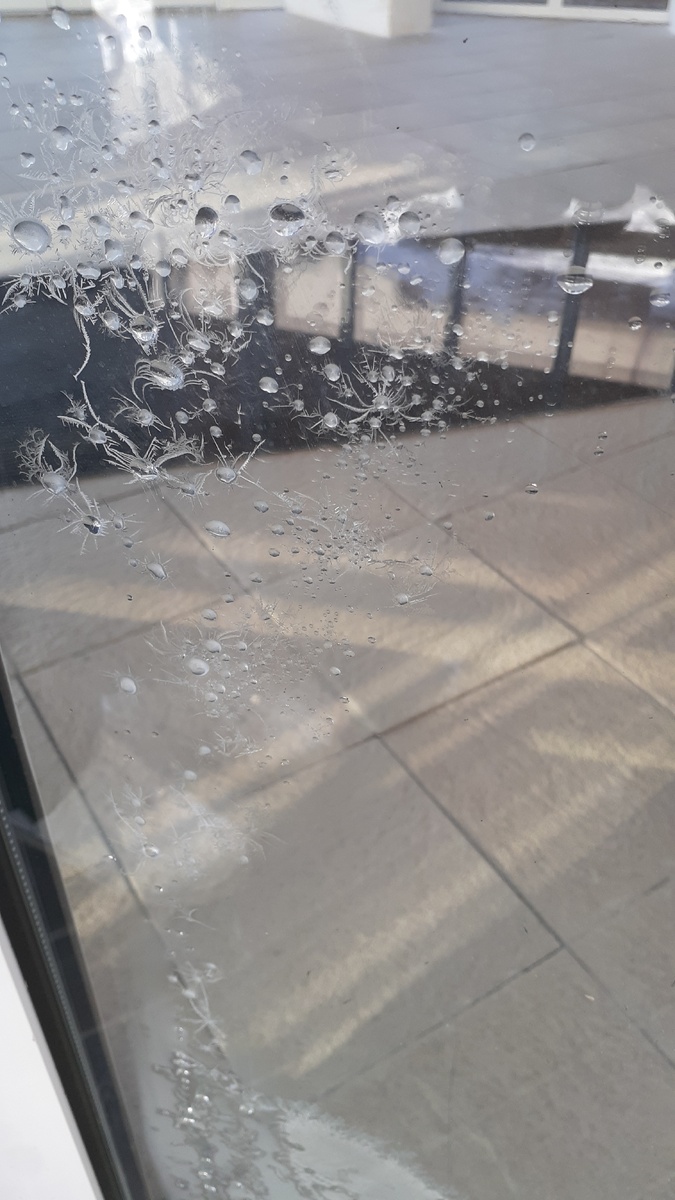 Вот это просто волшебство. Фото Шрайбикус Е.