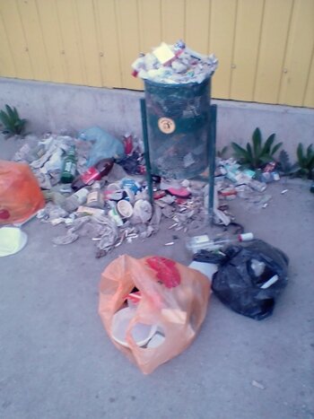 Фото с моей остановки