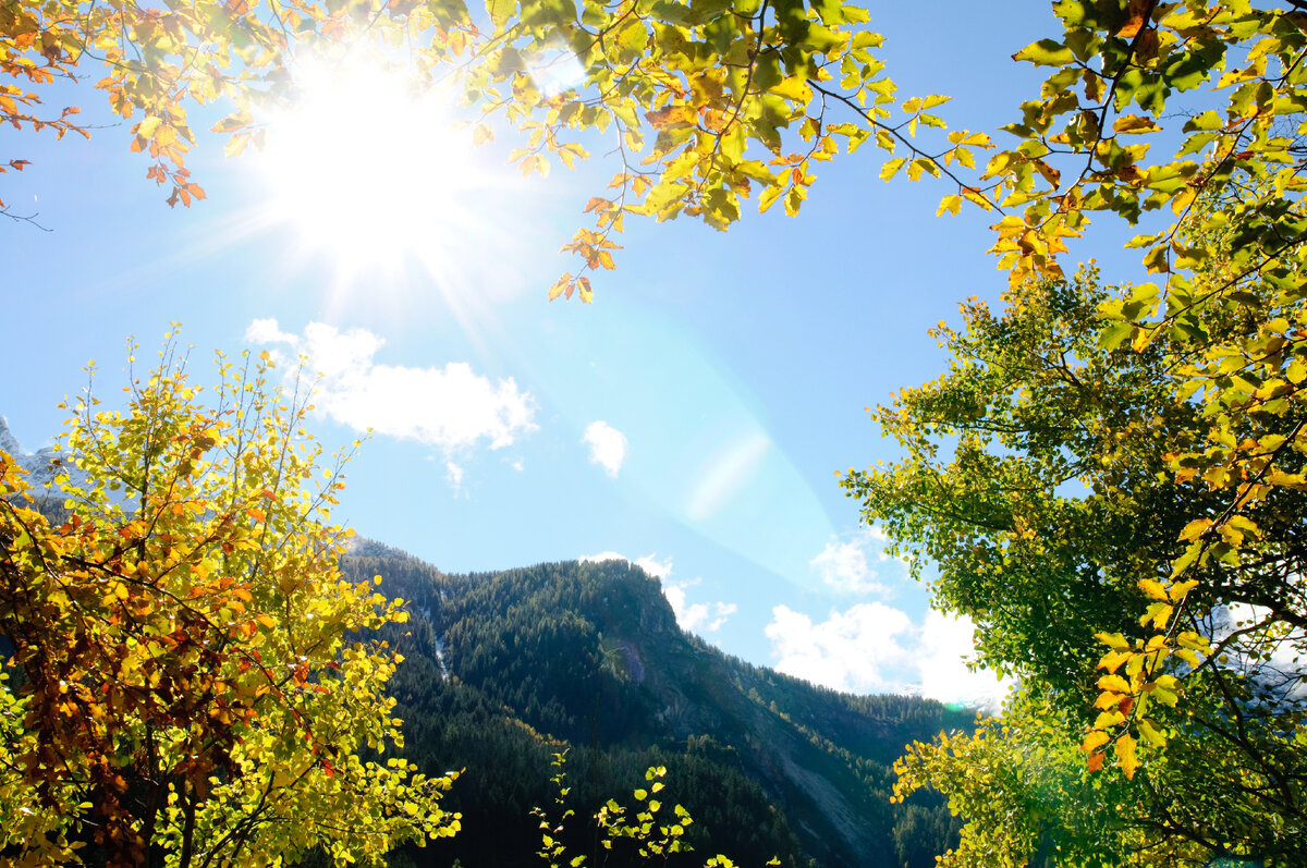 Летний день в горах. Источник: https://www.facebook.com/omaivanhov/photos/