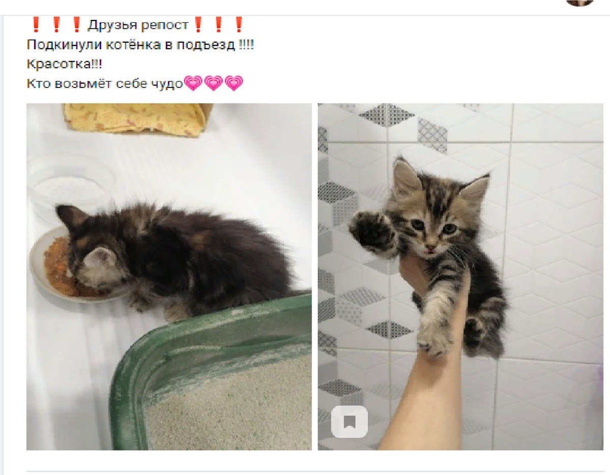 и тут я влюбилась..