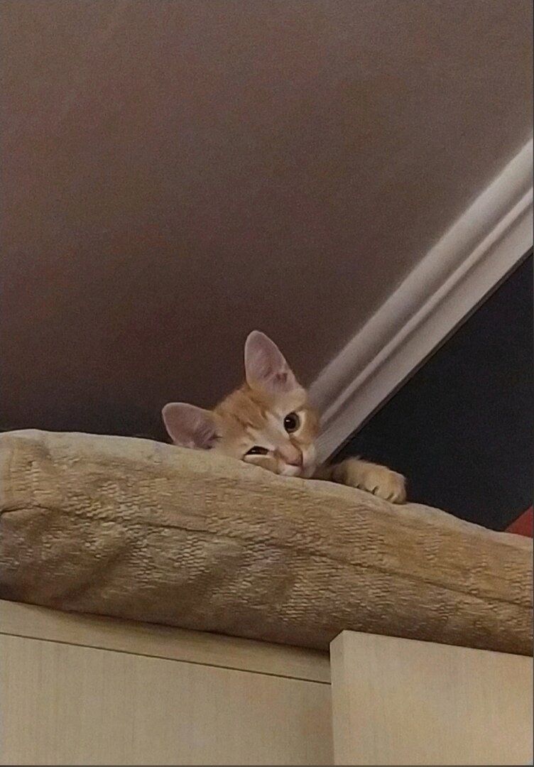 Хватит лежать! Пора вставать и действовать!