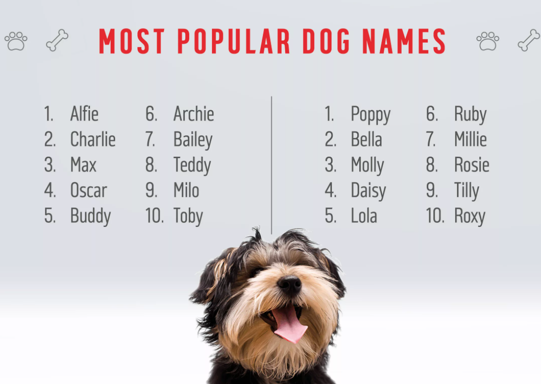 Dog names