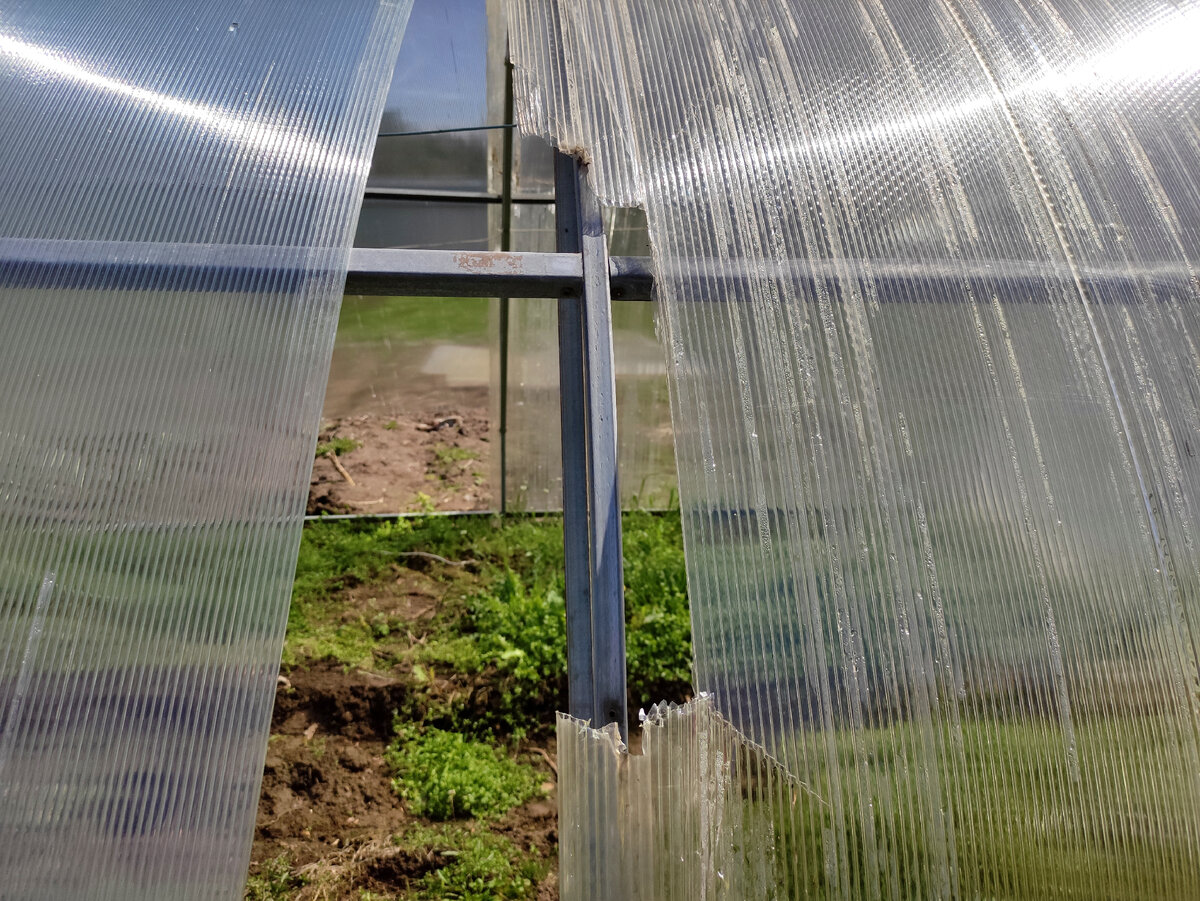 Снежная выдалась зима... 