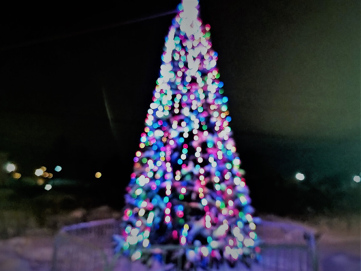 Елка в микрорайоне 