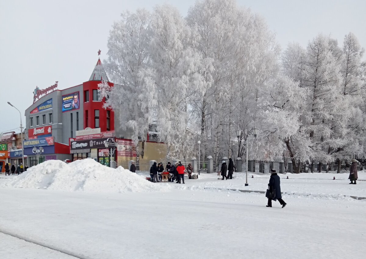 перепады температуры делают наши деревья красивыми. Два дня назад было -25С. Сегодня - 2С.