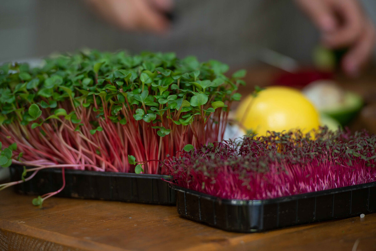 Маркетплейсы - это удобная площадка для заказа всего необходимого, семена доставят по адресу ближайшей точки выдачи 