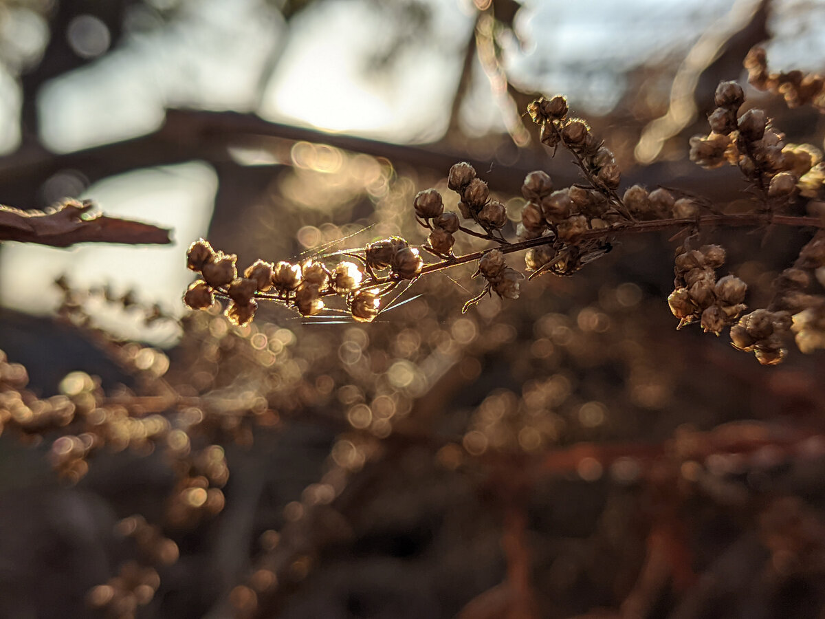 Мой результат)