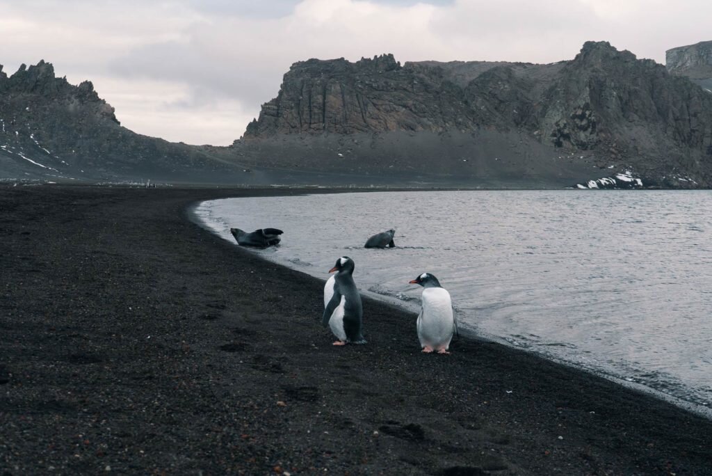 Deception island. Остров Десепшен Антарктида. Порт Фостер, китовая бухта (остров Десепшен). Остров обмана Антарктида. Остров обман Антарктика.