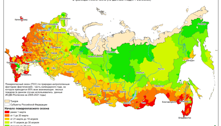 Фото: Федеральное агентство лесного хозяйства 