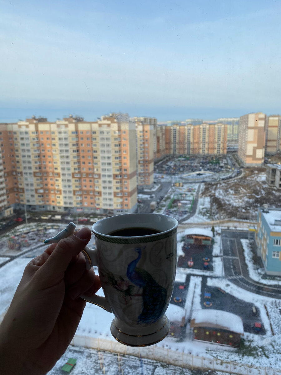 Вид из окна