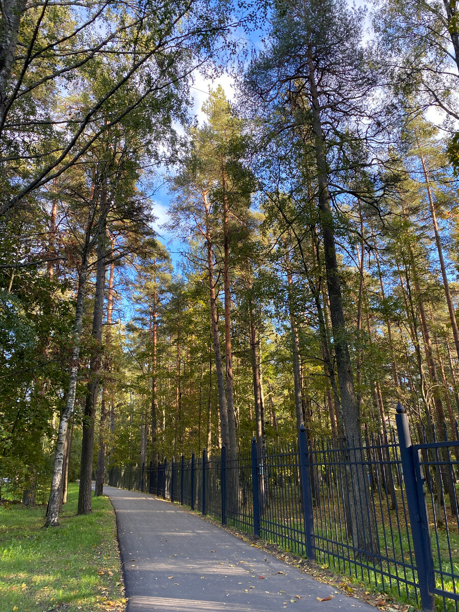 Пригороды Петербурга: Зеленогорск. Что посмотреть за один день и как связан  город с финским Терийоки | ОтЛичная Жизнь | Дзен