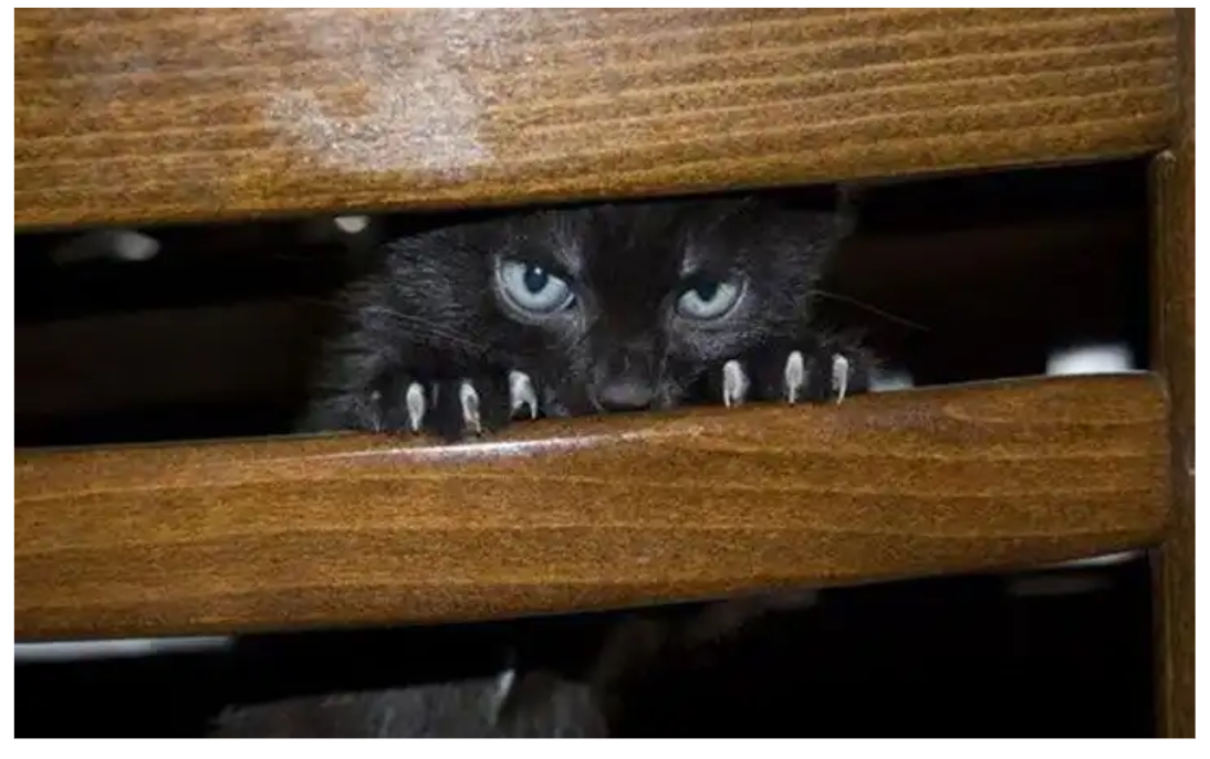 США наблюдают за конфликтами, которые сами же и разожгли в мире!