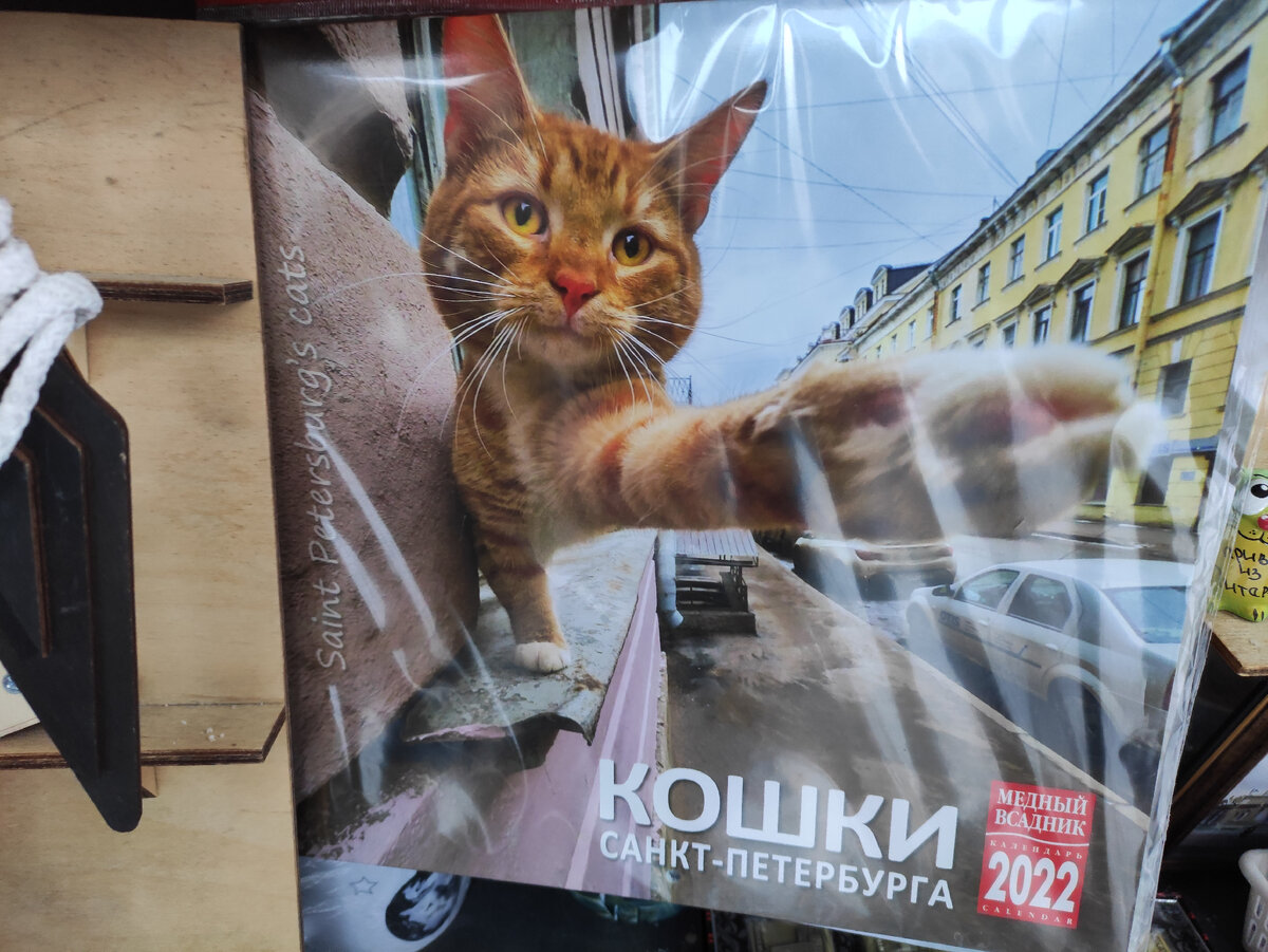 В Питере: кошки и пышки