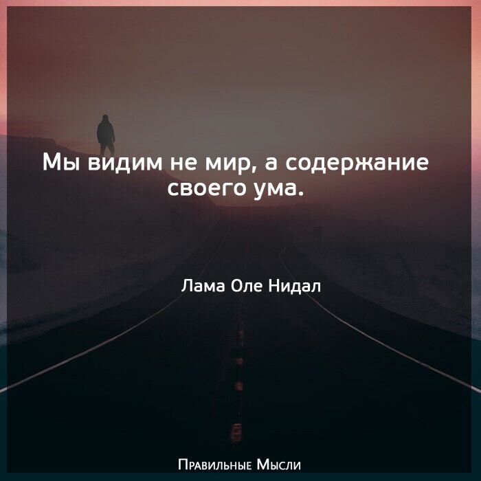 Яндекс картинки