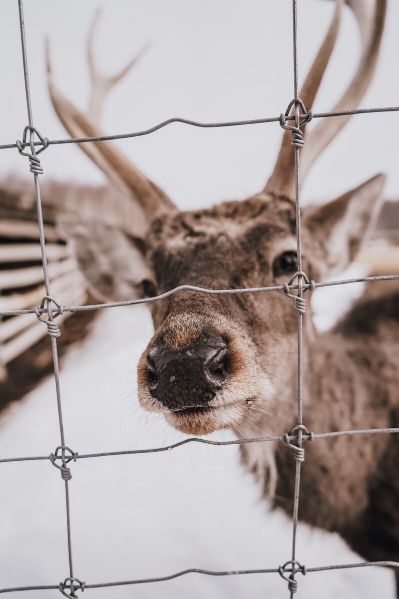 Фото - пресс-служба АНО "ЦРСИиД "БАРС" при копирование фотографии указывайте ссылку на ресурс обязательна.