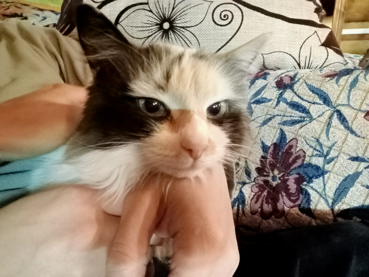 Вас бы так все лапали