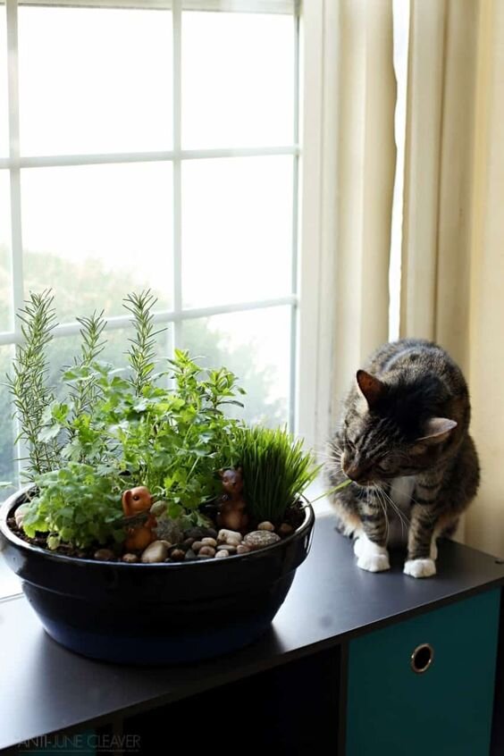 Источник фото: pinterest.ru