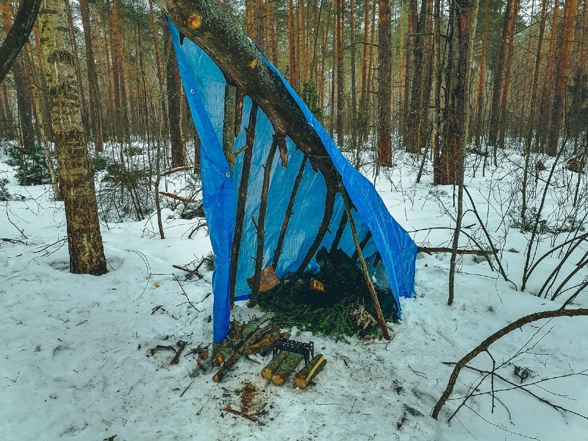 Ушел один в лес – Дом под поваленным деревом | Уйду в лес | Дзен