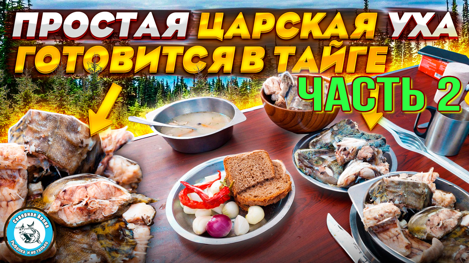 Как готовят в Якутии вкуснейшую таёжную уху из налима и рыбьих голов. Часть  2.