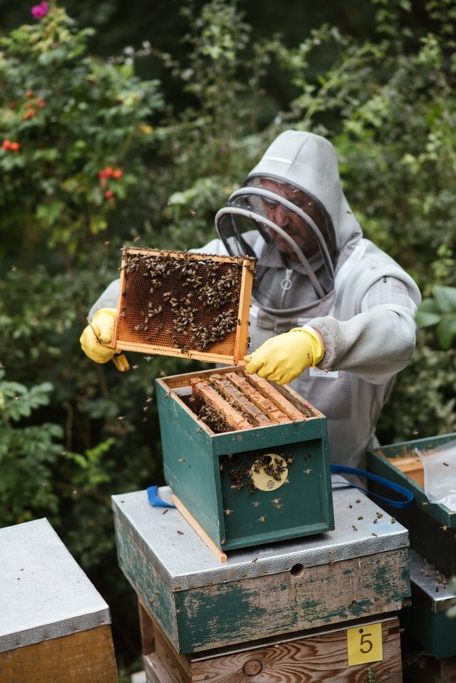 Как организовать продажи меда или любых других продуктов | Малый бизнес ...