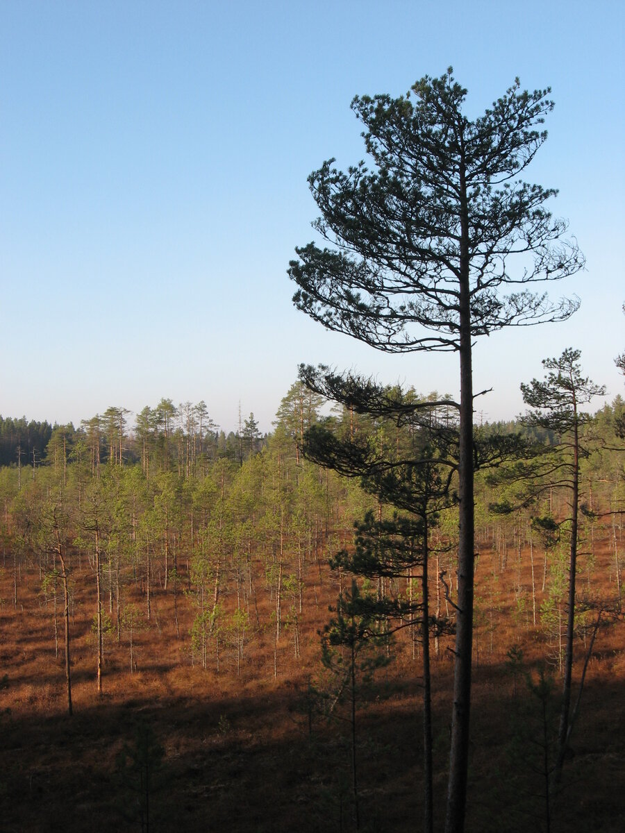 На экотропе у Соколовских ключей