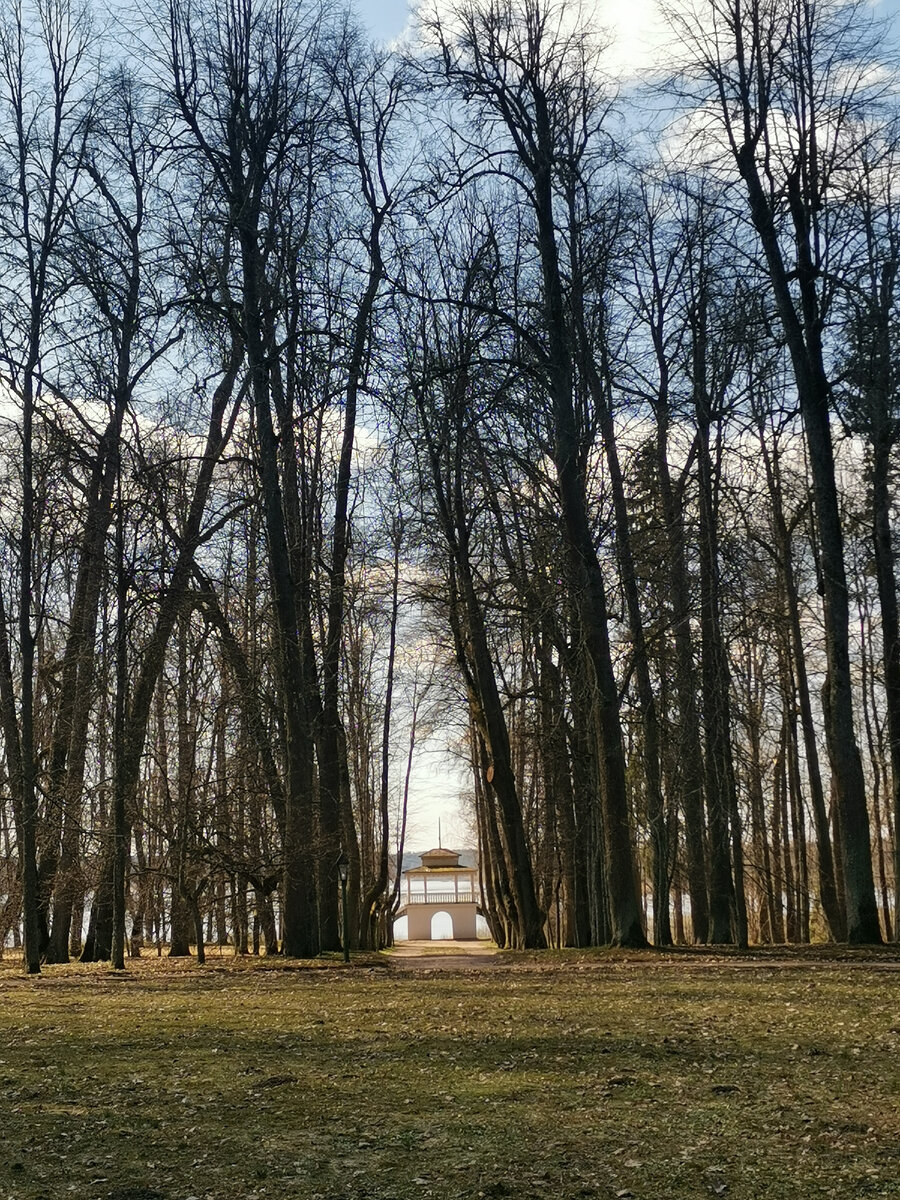 Главная аалея, виднеется беседка-грот. 