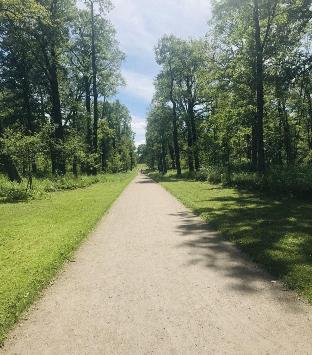 Парк Александрия в Петергофе. Невероятная красота ❤️ Как добраться, что  посмотреть, цена билетов. Как попасть в Парк бесплатно ➡ | Все о доме и  красоте ❤️ | Дзен