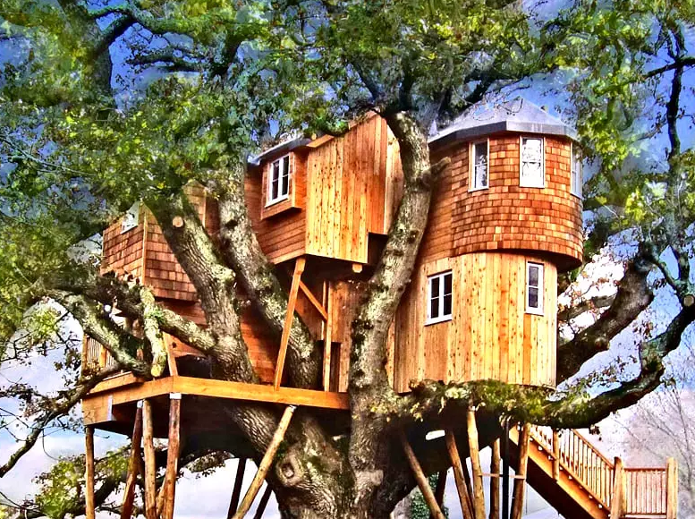 Чертежи домика на дереве (141 фото)