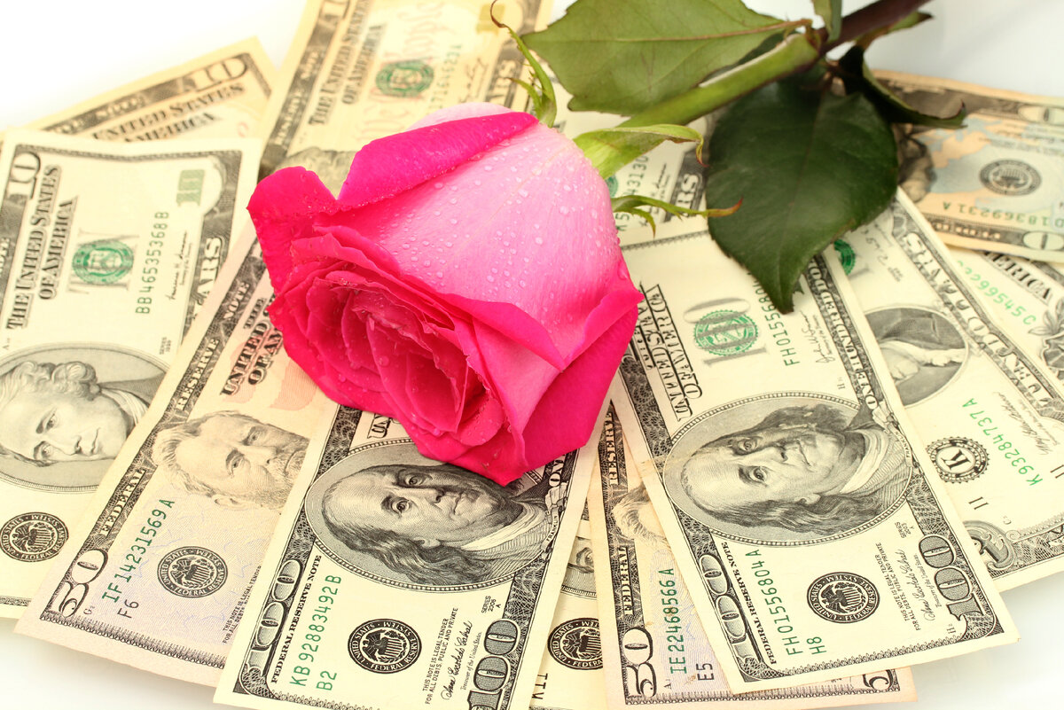 Любимая купюра. Цветы и деньги. Розы с деньгами. Деньги на фоне цветов. Открытка с цветами и деньгами.