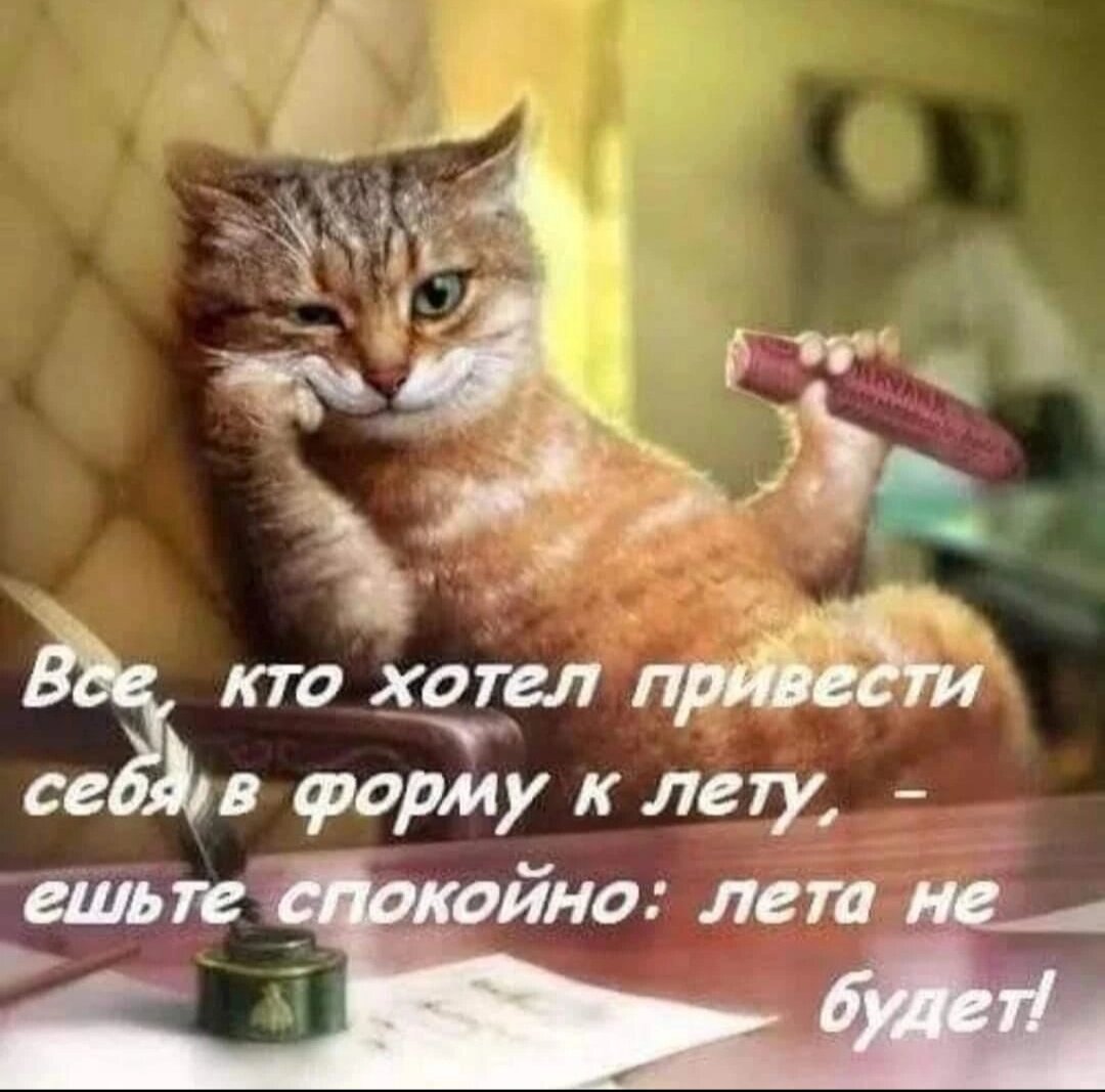 Картинка из интернета.
