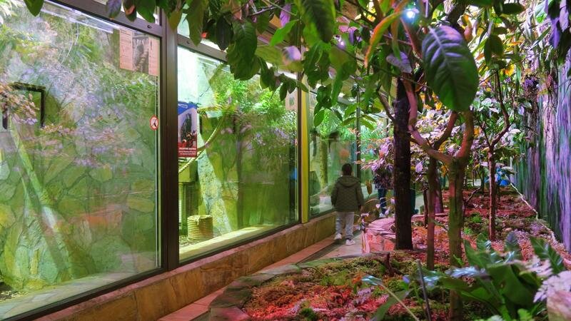    Фото: пресс-служба Ленинградского зоопарка