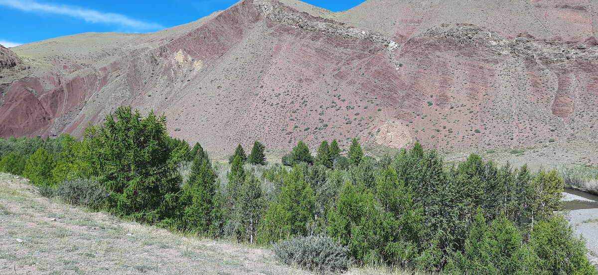 розовые горы с.Кокору