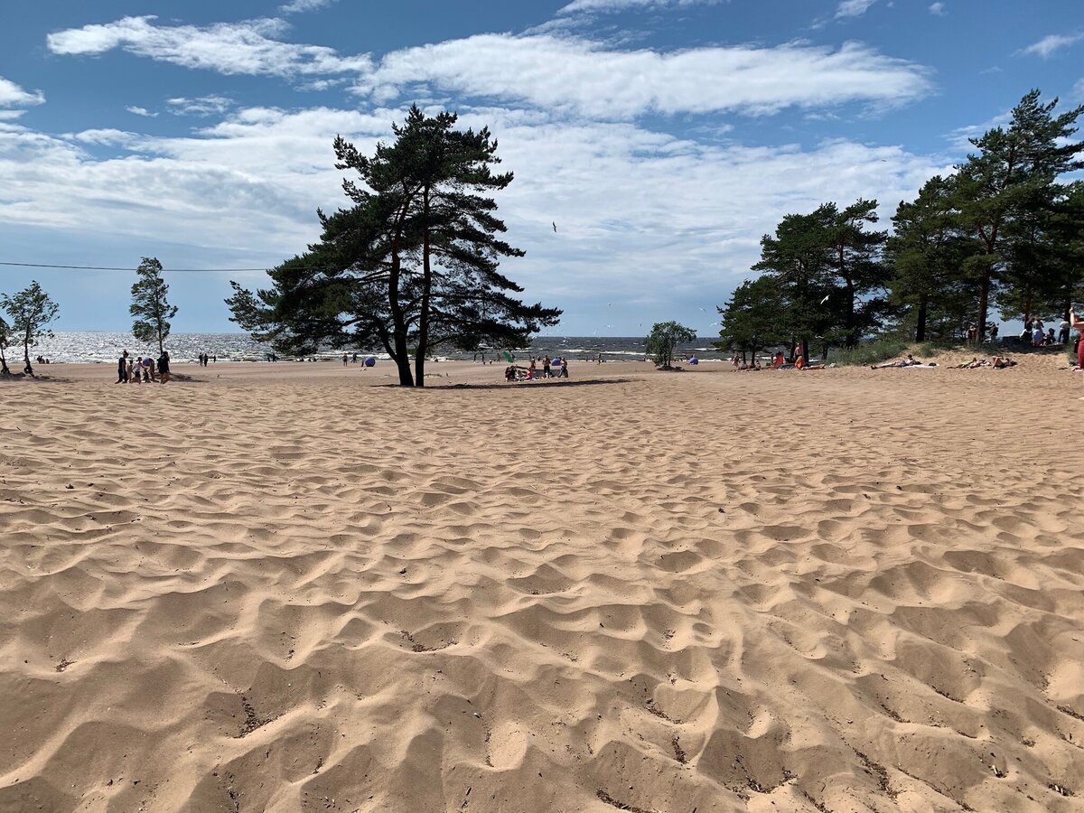 солнечное санкт петербург отзывы отзывы. жк изумрудные холмы троицк. солнечное санкт петербург отзывы отзывы. сестрорецк пляж ласковый. микрорайон изумрудные холмы, красногорск.