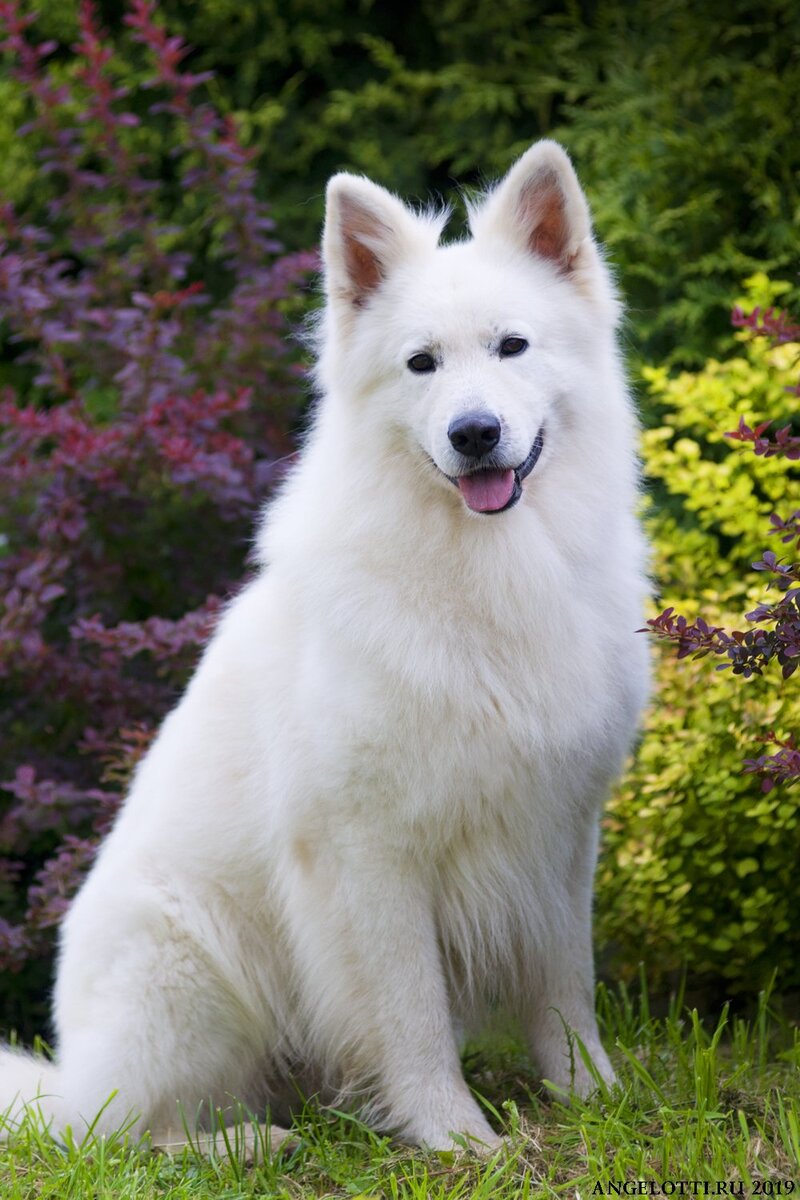 Фото из интернета