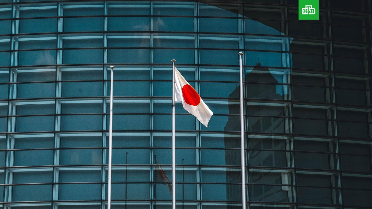    Фото: Rom?o A. / unsplash.com