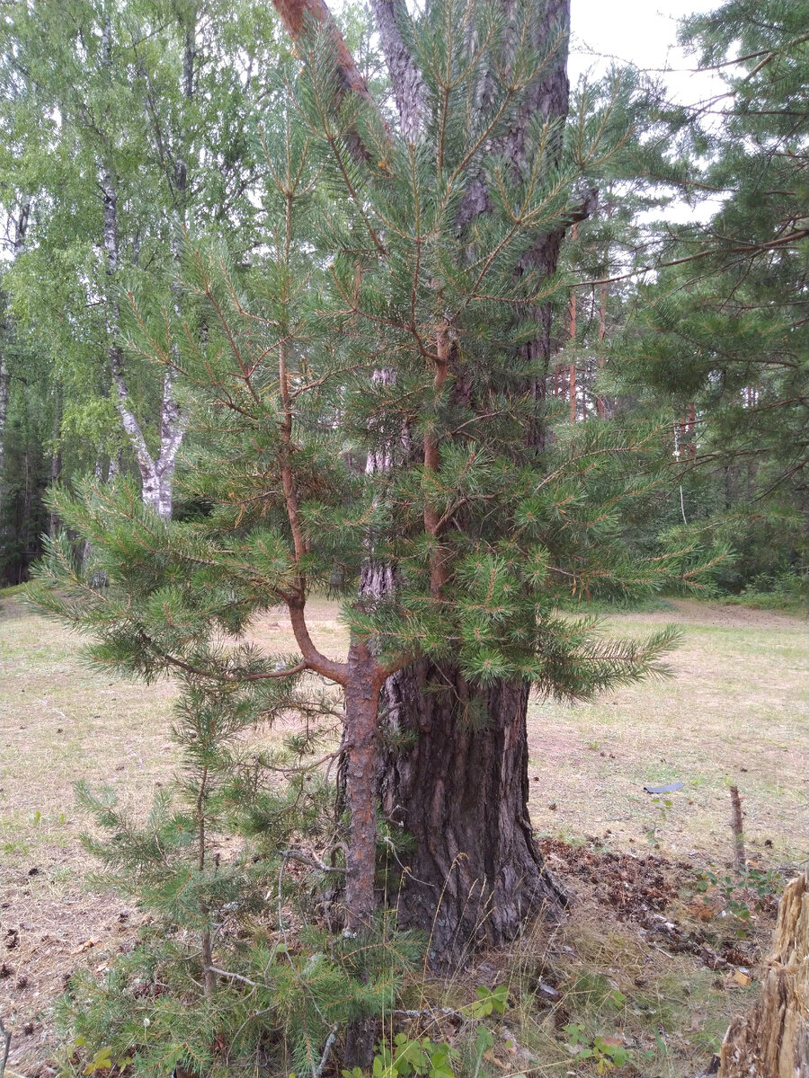 -2-2