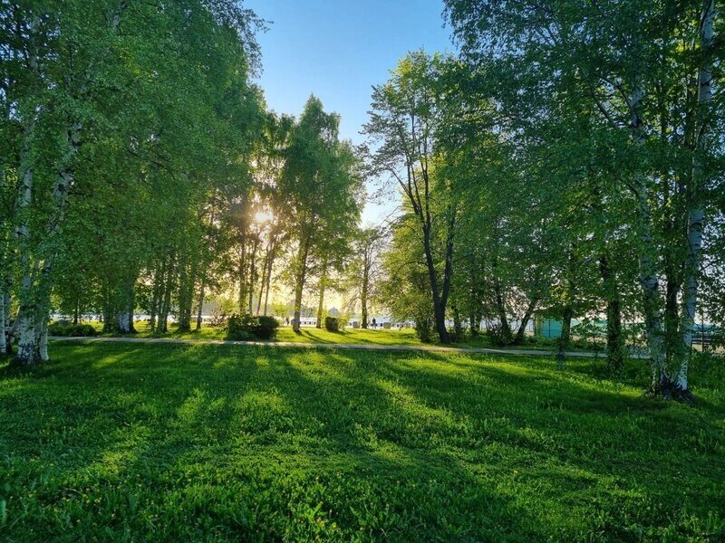Государев сад, Петрозаводск
