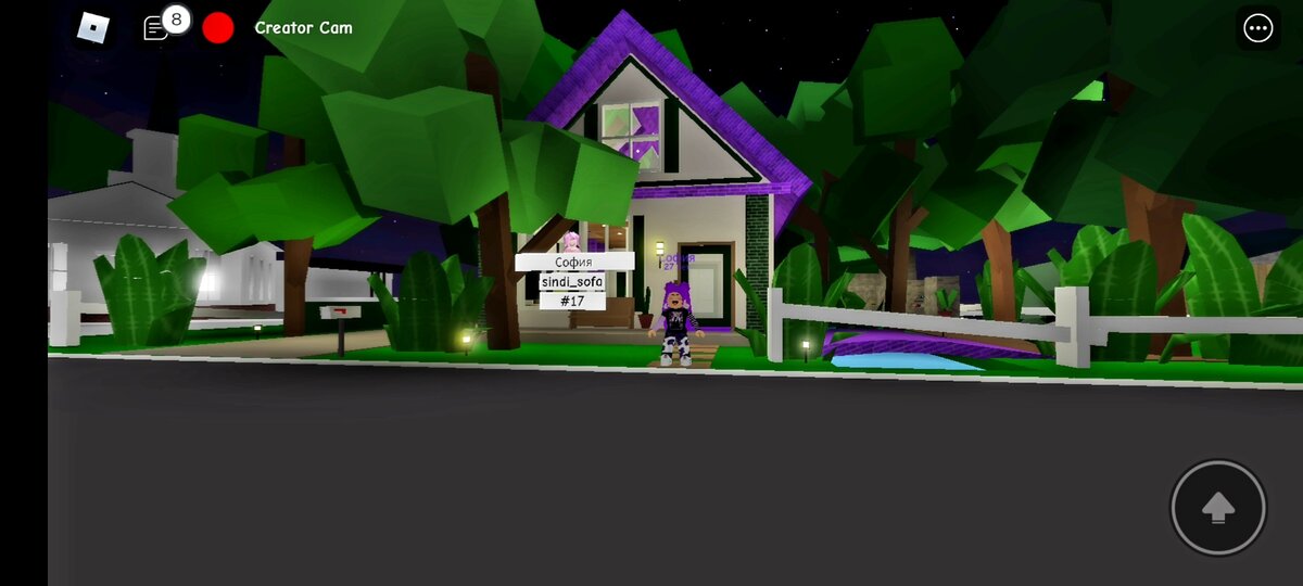 Игра Brookhaven RP ROBLOX 