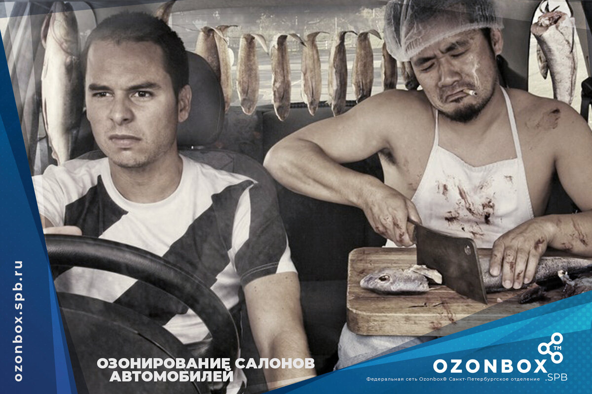 Озонирование салонов автомобилей | Ozonbox.SPB | Дзен