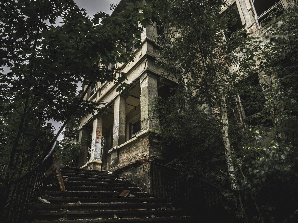     Фото: pxhere.com